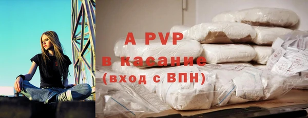 спиды Гусев