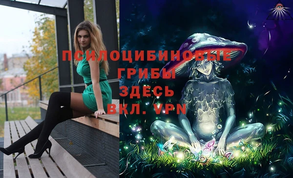 spice Гусиноозёрск