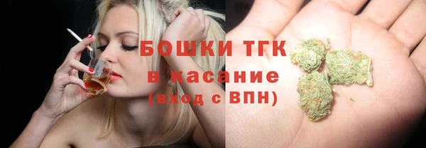 spice Гусиноозёрск
