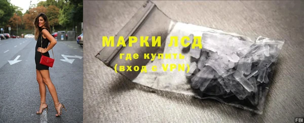 спиды Гусев