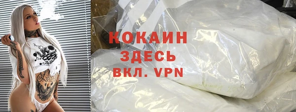 спиды Гусев